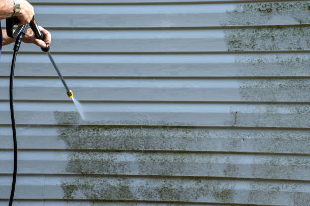 Best Attic Cleanout  in Benton, KY