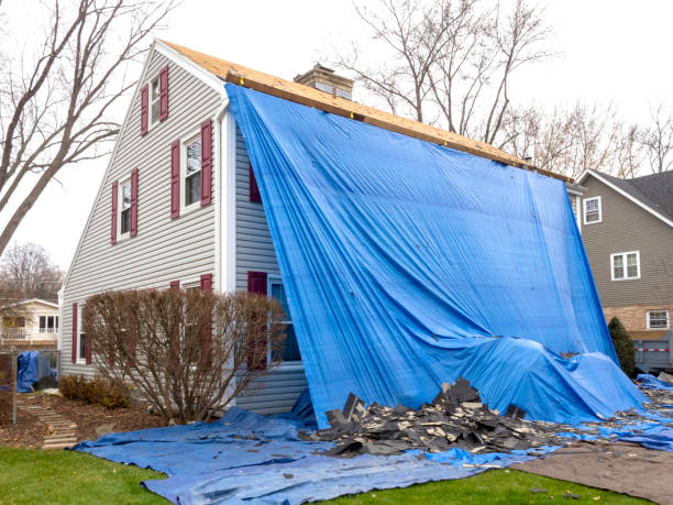 Best Same-Day Junk Removal Services  in Benton, KY