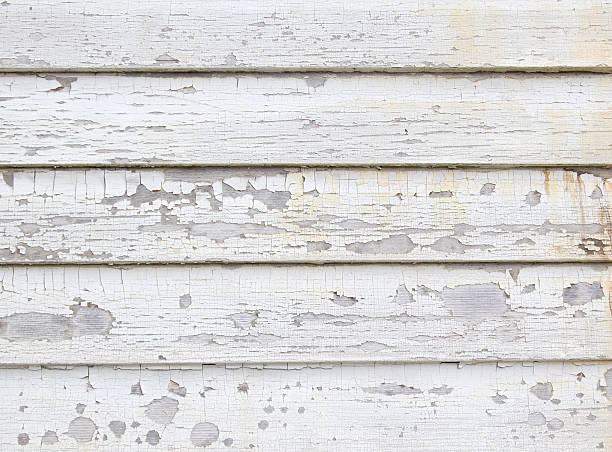 Professional Junk Removal in Benton, KY