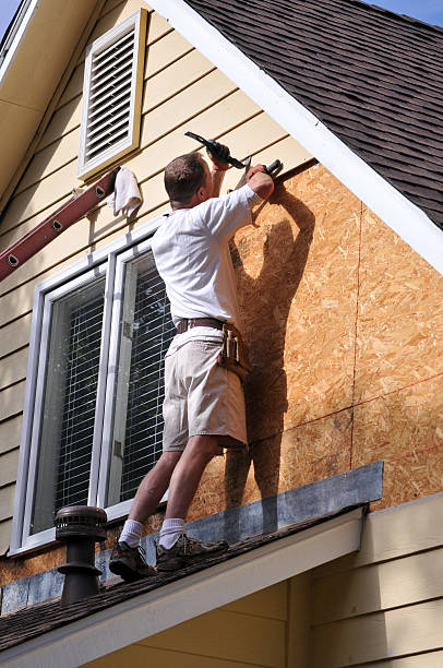 Best Demolition Debris Removal  in Benton, KY